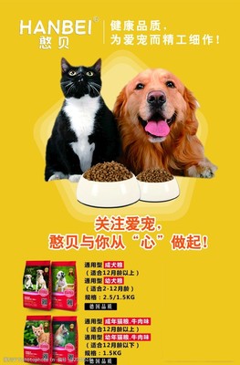 金毛犬的飲食魅力 寵物食品中的健康之道